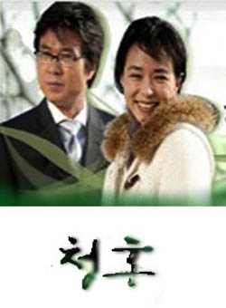 求婚2國語版